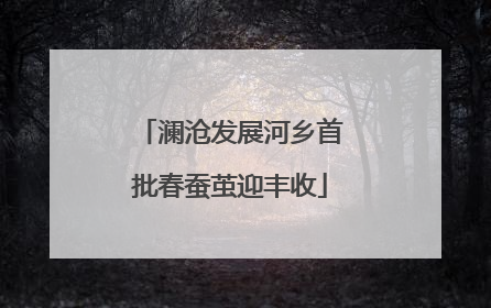 澜沧发展河乡首批春蚕茧迎丰收