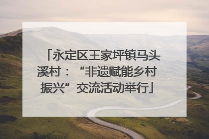 永定区王家坪镇马头溪村：“非遗赋能乡村振兴”交流活动举行