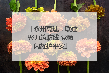 永州高速：联建聚力筑防线 党徽闪耀护平安