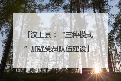 汶上县：“三种模式”加强党员队伍建设