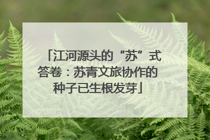 江河源头的“苏”式答卷：苏青文旅协作的种子已生根发芽