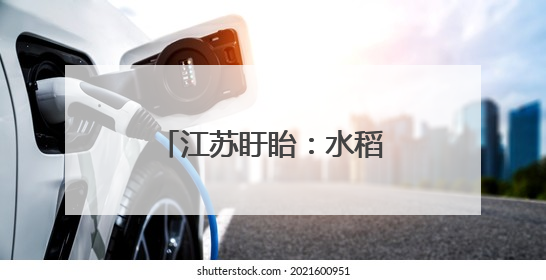 江苏盱眙：水稻插秧全面展开