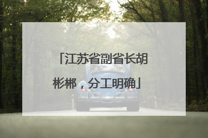 江苏省副省长胡彬郴，分工明确