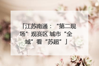 江苏南通：“第二现场”观赛区 城市“全域”看“苏超”