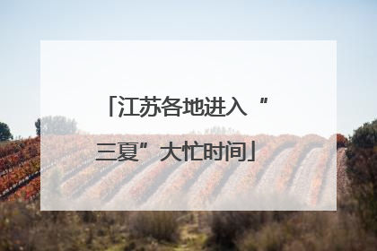 江苏各地进入“三夏”大忙时间