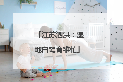 江苏泗洪：湿地白鹭育雏忙