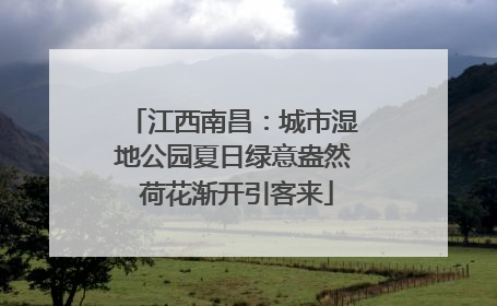江西南昌：城市湿地公园夏日绿意盎然 荷花渐开引客来