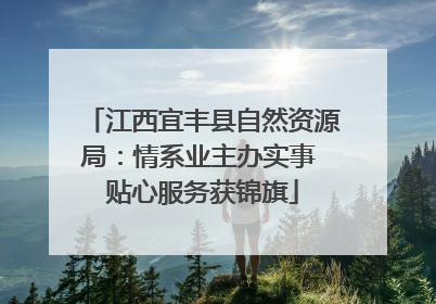 江西宜丰县自然资源局：情系业主办实事 贴心服务获锦旗