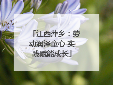 江西萍乡：劳动润泽童心 实践赋能成长