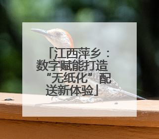 江西萍乡：数字赋能打造“无纸化”配送新体验