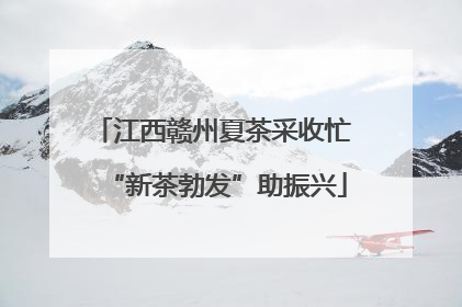 江西赣州夏茶采收忙 “新茶勃发”助振兴