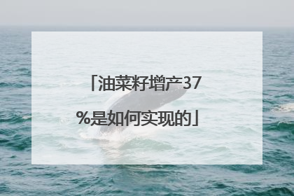 油菜籽增产37%是如何实现的