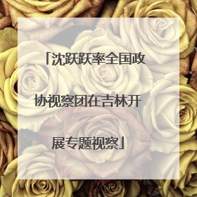 沈跃跃率全国政协视察团在吉林开展专题视察