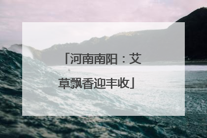 河南南阳：艾草飘香迎丰收