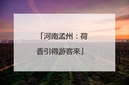 河南孟州：荷香引得游客来