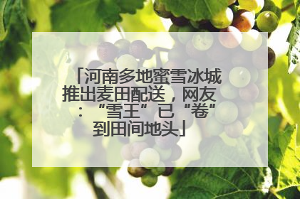 河南多地蜜雪冰城推出麦田配送，网友：“雪王”已“卷”到田间地头