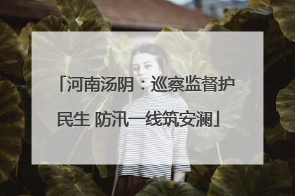 河南汤阴：巡察监督护民生 防汛一线筑安澜