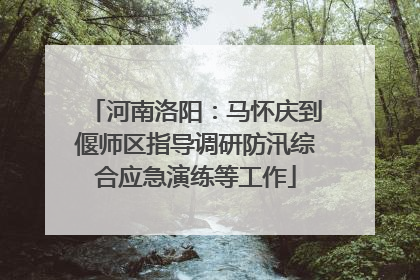 河南洛阳：马怀庆到偃师区指导调研防汛综合应急演练等工作