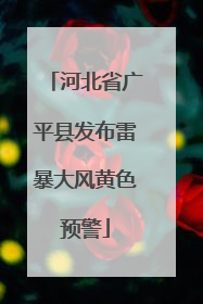 河北省广平县发布雷暴大风黄色预警