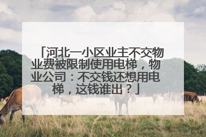 河北一小区业主不交物业费被限制使用电梯，物业公司：不交钱还想用电梯，这钱谁出？