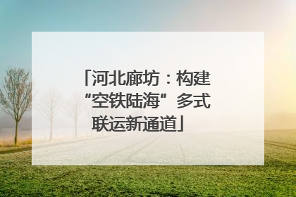 河北廊坊：构建“空铁陆海”多式联运新通道