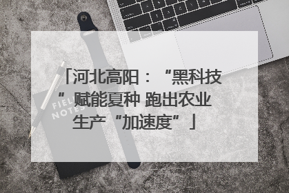 河北高阳：“黑科技”赋能夏种 跑出农业生产“加速度”