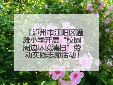 泸州市江阳区通滩小学开展“校园周边环境清扫”劳动实践志愿活动