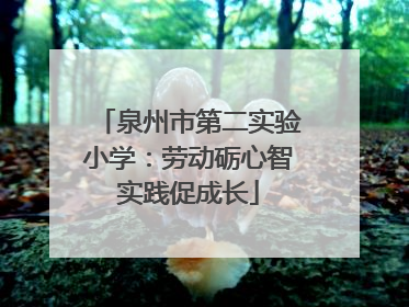 泉州市第二实验小学：劳动砺心智实践促成长