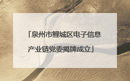 泉州市鲤城区电子信息产业链党委揭牌成立