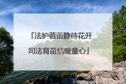 法护蓓蕾静待花开 司法育苗情暖童心