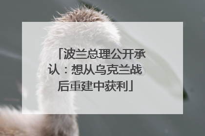 波兰总理公开承认：想从乌克兰战后重建中获利
