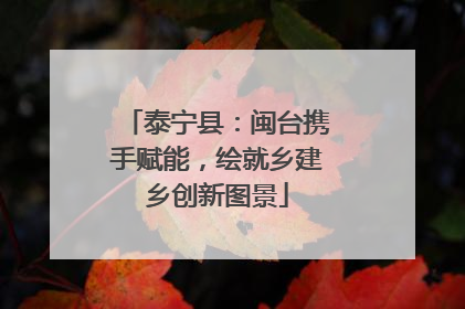 泰宁县：闽台携手赋能，绘就乡建乡创新图景