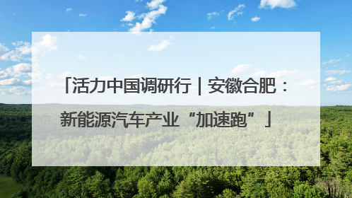 活力中国调研行｜安徽合肥：新能源汽车产业“加速跑”