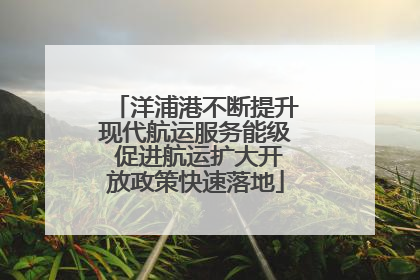 洋浦港不断提升现代航运服务能级 促进航运扩大开放政策快速落地