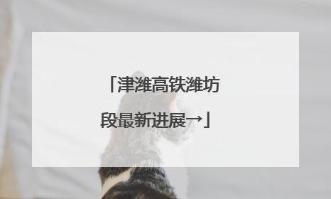 津潍高铁潍坊段最新进展→