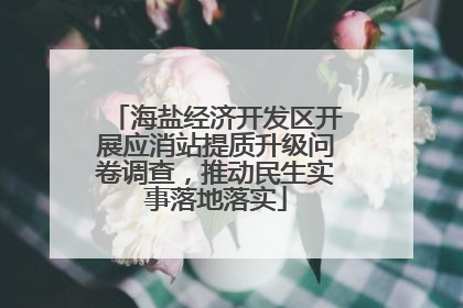 海盐经济开发区开展应消站提质升级问卷调查，推动民生实事落地落实