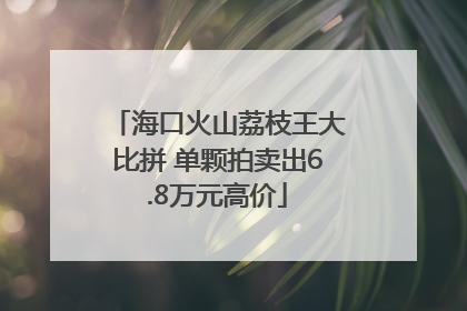 海口火山荔枝王大比拼 单颗拍卖出6.8万元高价