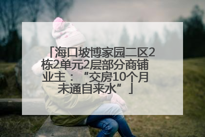 海口坡博家园二区2栋2单元2层部分商铺业主：“交房10个月未通自来水”