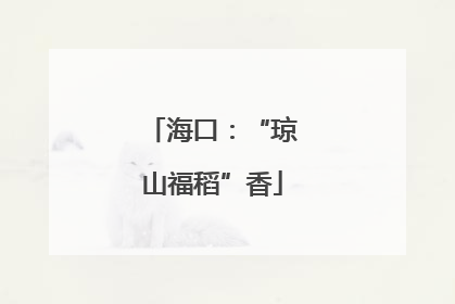 海口：“琼山福稻”香