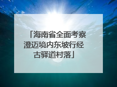 海南省全面考察澄迈境内东坡行经古驿道村落