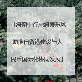 海南中行乘消博东风 助推自贸港建设与人民币国际化协同发展