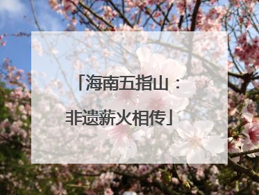 海南五指山：非遗薪火相传