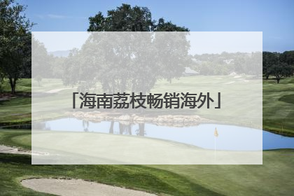 海南荔枝畅销海外