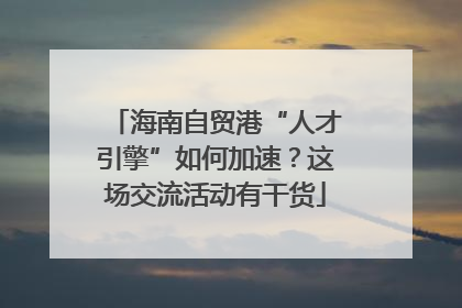 海南自贸港“人才引擎”如何加速？这场交流活动有干货