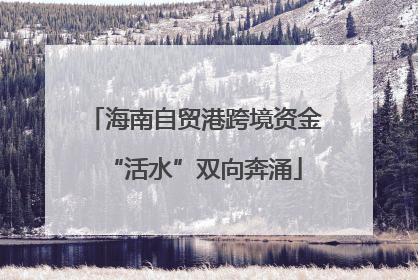 海南自贸港跨境资金“活水”双向奔涌