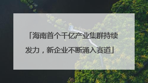 海南首个千亿产业集群持续发力，新企业不断涌入赛道
