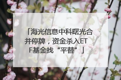 海光信息中科曙光合并停牌，资金杀入ETF基金找“平替”