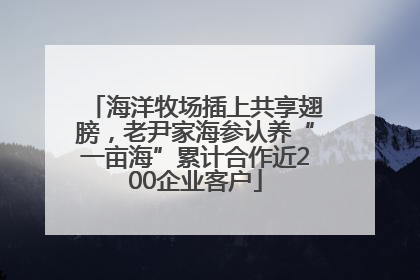 海洋牧场插上共享翅膀，老尹家海参认养“一亩海”累计合作近200企业客户