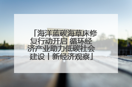 海洋蓝碳海草床修复行动开启 循环经济产业助力低碳社会建设丨新经济观察