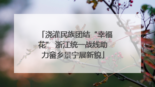 浇灌民族团结“幸福花” 浙江统一战线助力畲乡景宁展新貌